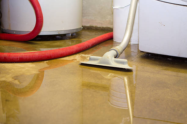 Best Sewage Cleanup and Restoration in USA